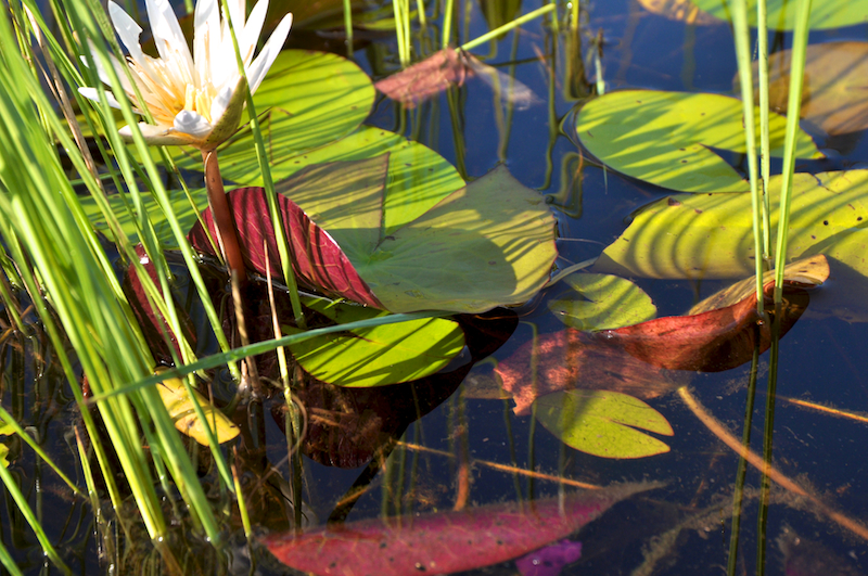 Melanie Heinrich Travel Images Africa